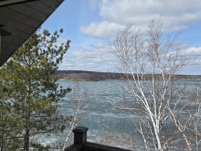 property view of water