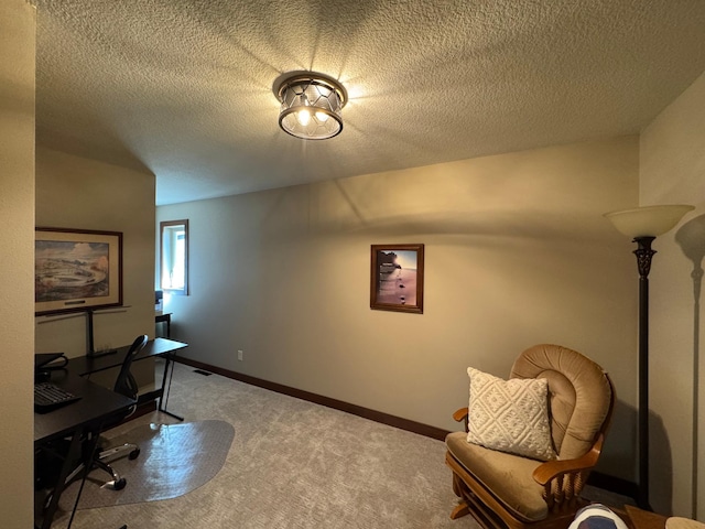12468 Hermosa Beach Rd NW, Alexandria, MN 56308 - office space with carpet flooring, a textured ceiling, and baseboards