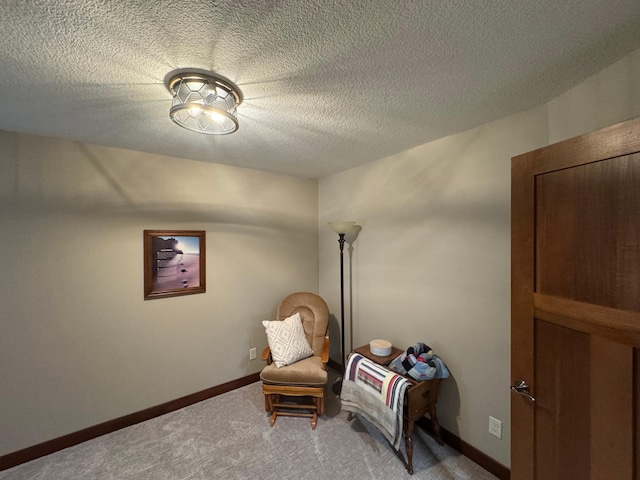 12468 Hermosa Beach Rd NW, Alexandria, MN 56308 - sitting room featuring light carpet, a textured ceiling, and baseboards