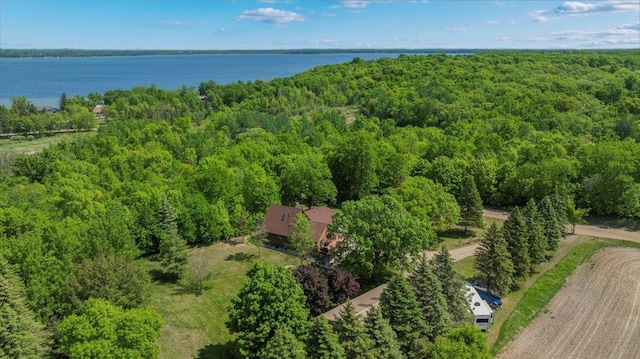 12468 Hermosa Beach Rd NW, Alexandria, MN 56308 - bird's eye view of a heavily wooded area and a nearby body of water
