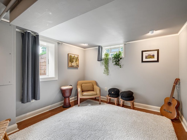 4648 3rd Ave S, Minneapolis, MN 55419 - sitting room with baseboards and ornamental molding