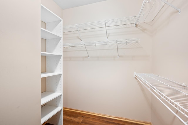 200 Michigan St Unit 1, Lake City, MN 55041 - spacious closet with wood finished floors