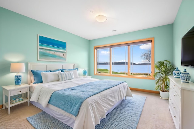 200 Michigan St Unit 1, Lake City, MN 55041 - bedroom featuring light colored carpet and baseboards