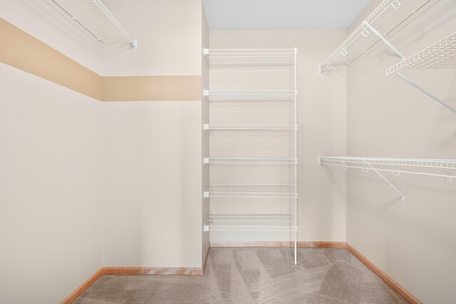 200 Michigan St Unit 1, Lake City, MN 55041 - spacious closet with carpet flooring