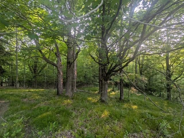 715 Logan Ave E, Turtle Lake, WI 54889