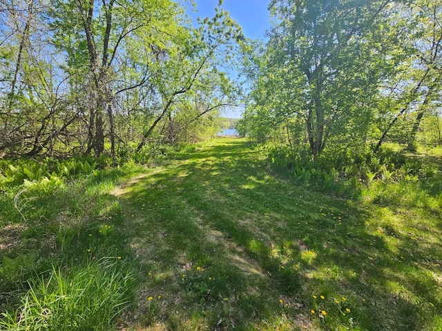 TBD Birch Crest Rd, Melrose, MN 56336