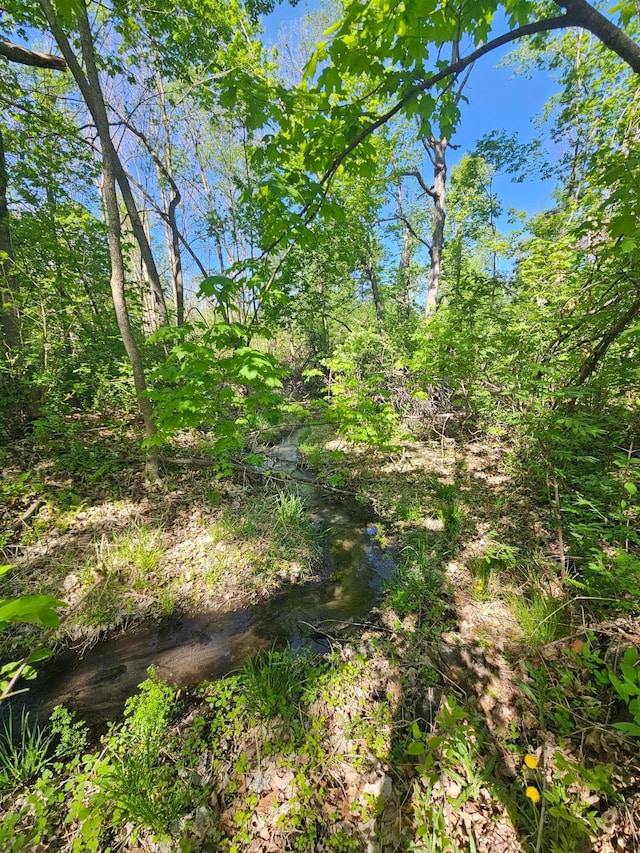 TBD Birch Crest Rd, Melrose, MN 56336