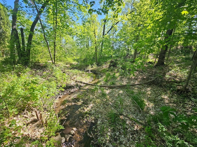 TBD Birch Crest Rd, Melrose, MN 56336