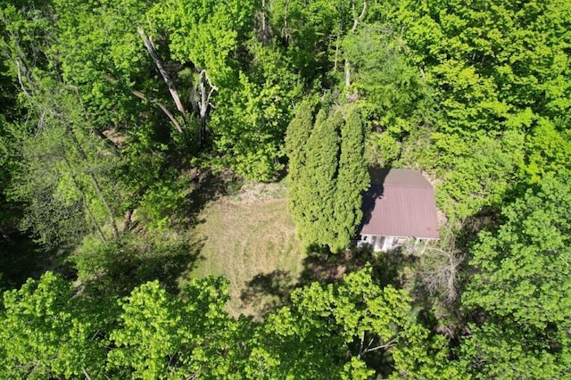 TBD Birch Crest Rd, Melrose, MN 56336