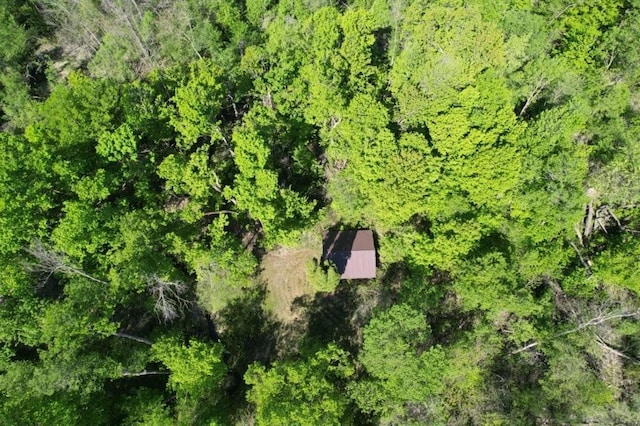 TBD Birch Crest Rd, Melrose, MN 56336