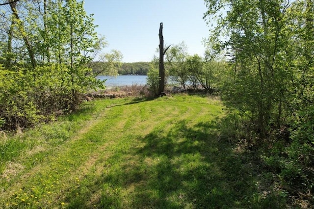 TBD Birch Crest Rd, Melrose, MN 56336