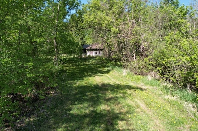 TBD Birch Crest Rd, Melrose, MN 56336