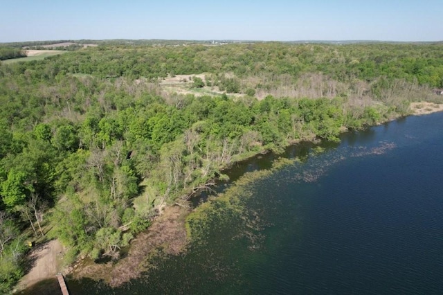 TBD Birch Crest Rd, Melrose, MN 56336