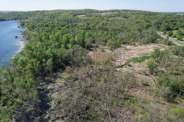 TBD Birch Crest Rd, Melrose, MN 56336