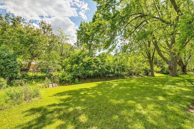 980 Carlton Dr, Shoreview, MN 55126 - view of green lawn