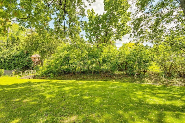 980 Carlton Dr, Shoreview, MN 55126 - view of green lawn