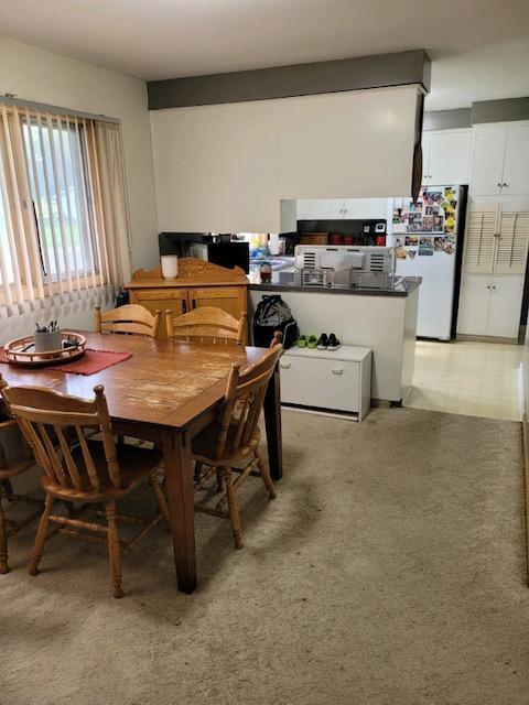 106 Mcphail Ave N, Caledonia, MN 55921 - view of dining area