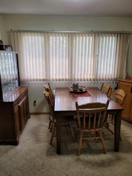 106 Mcphail Ave N, Caledonia, MN 55921 - dining room featuring light colored carpet