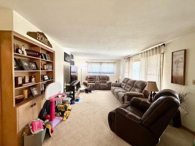 106 Mcphail Ave N, Caledonia, MN 55921 - living room with carpet floors