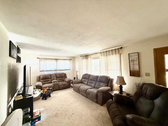 106 Mcphail Ave N, Caledonia, MN 55921 - view of carpeted living area