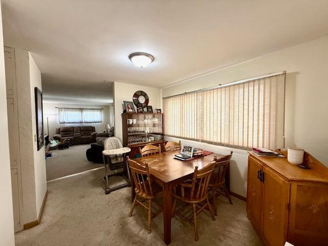 106 Mcphail Ave N, Caledonia, MN 55921 - view of carpeted dining area