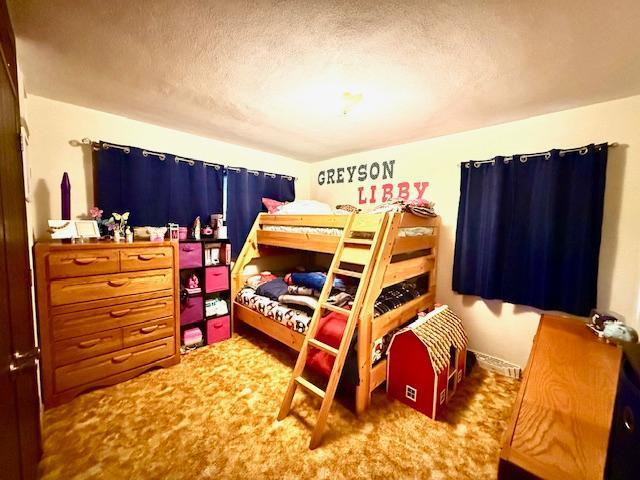 106 Mcphail Ave N, Caledonia, MN 55921 - bedroom with a textured ceiling