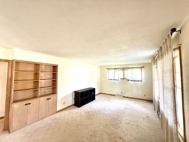 106 Mcphail Ave N, Caledonia, MN 55921 - unfurnished living room with light colored carpet