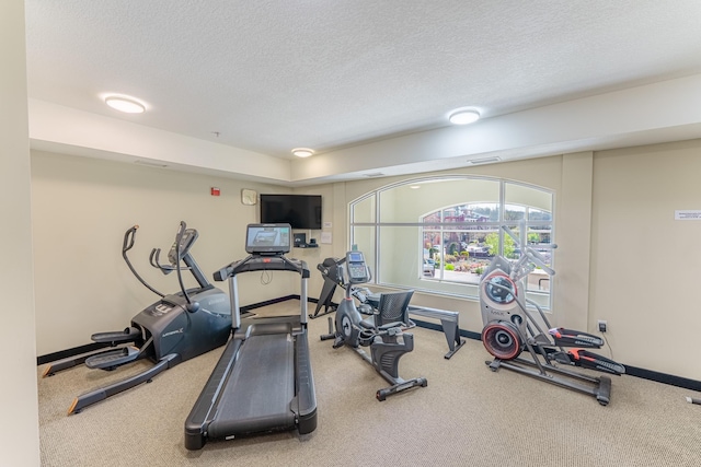 630 Main St N Unit 308, Stillwater, MN 55082 - exercise area with carpet floors, a textured ceiling, and baseboards