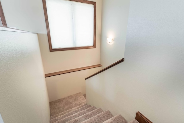 6432 Botzet Rd NE, Nelson, MN 56355 - photo 38