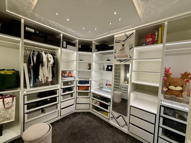 14303 Utica Ave, Savage, MN 55378 - walk in closet with dark colored carpet