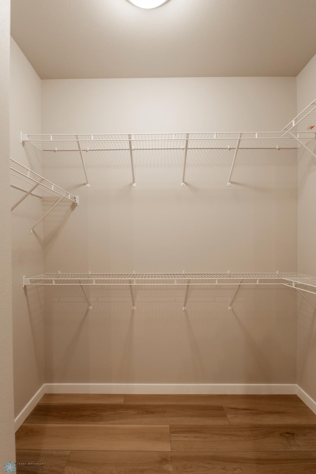 spacious closet featuring wood finished floors