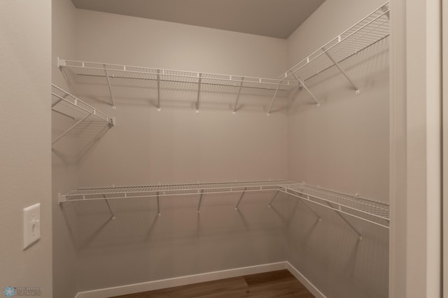 spacious closet featuring dark wood-type flooring