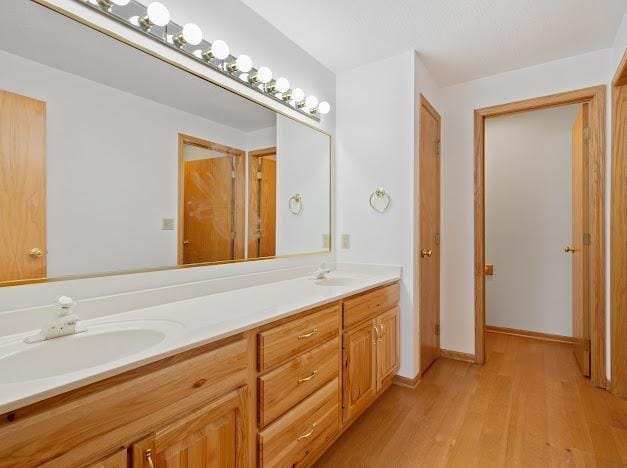 bathroom with wood finished floors, double vanity, and a sink