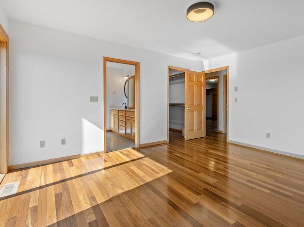 unfurnished bedroom featuring a closet, baseboards, a sink, a spacious closet, and wood finished floors