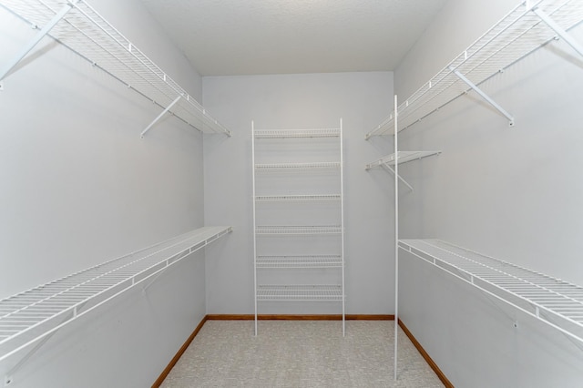 1125 Riverwood Dr SW, Oronoco, MN 55960 - walk in closet with carpet