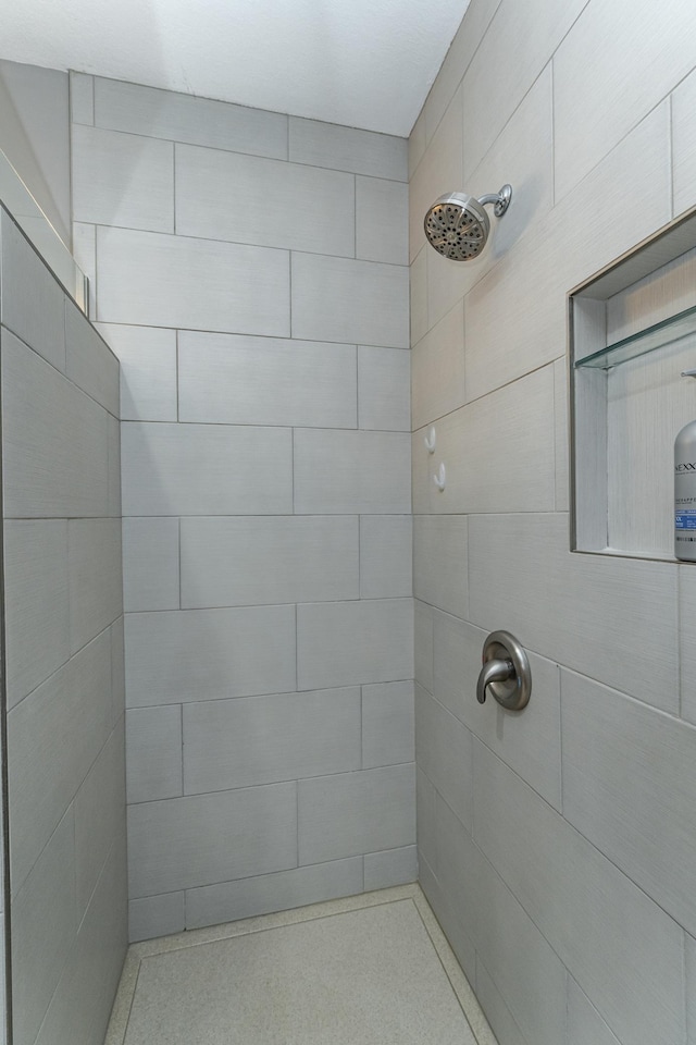 1125 Riverwood Dr SW, Oronoco, MN 55960 - full bathroom featuring tiled shower