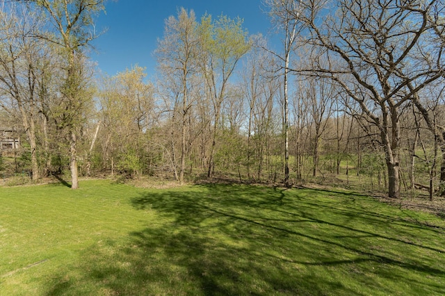 1125 Riverwood Dr SW, Oronoco, MN 55960 - view of grassy yard