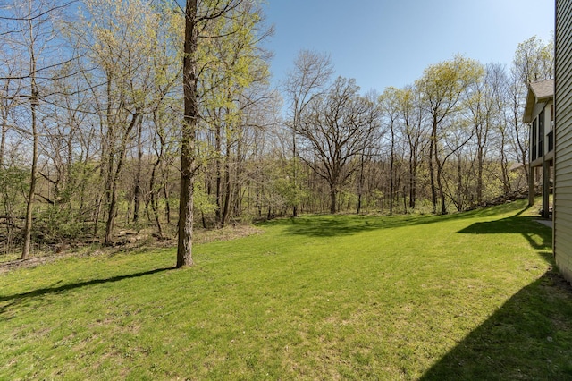 1125 Riverwood Dr SW, Oronoco, MN 55960 - view of green lawn
