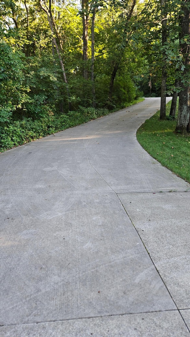 1125 Riverwood Dr SW, Oronoco, MN 55960 - view of property's community