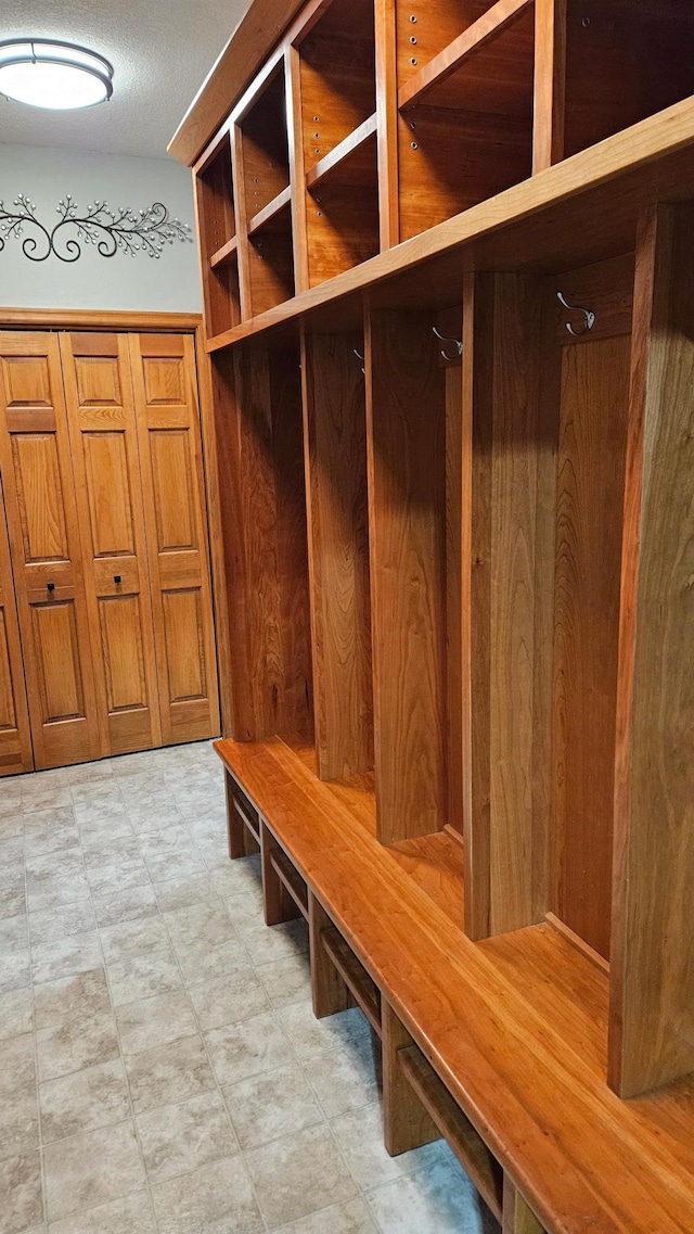 1125 Riverwood Dr SW, Oronoco, MN 55960 - mudroom featuring light floors