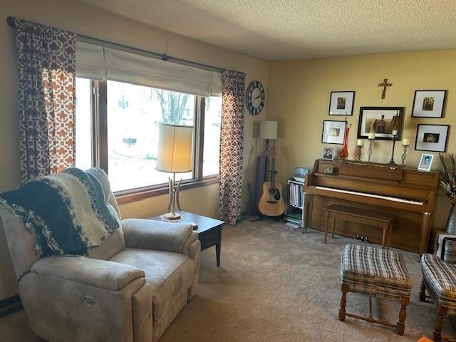 living area with a textured ceiling and carpet flooring