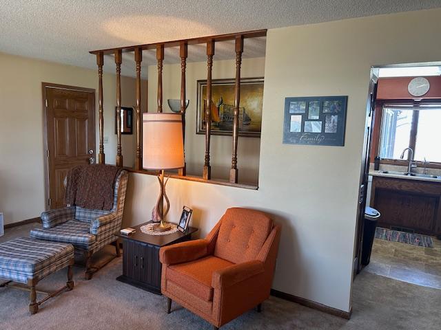 living area with a textured ceiling, carpet floors, and baseboards