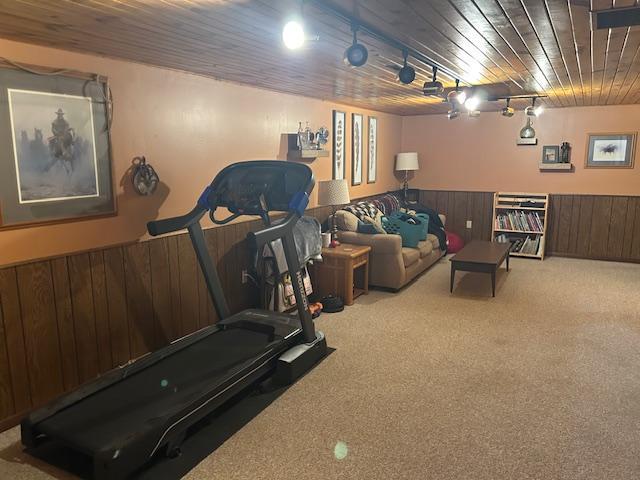 workout room featuring wooden ceiling, wood walls, and carpet floors
