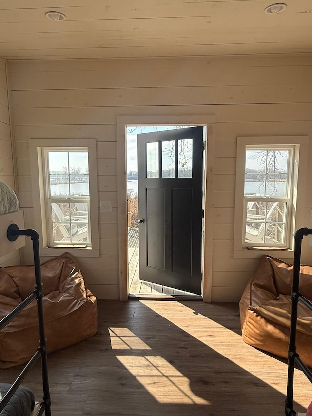 doorway featuring plenty of natural light, wooden walls, and wood finished floors