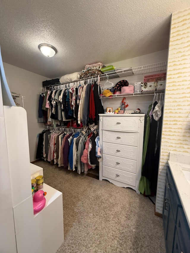 walk in closet featuring carpet floors