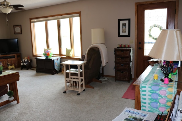 bedroom featuring multiple windows and carpet flooring