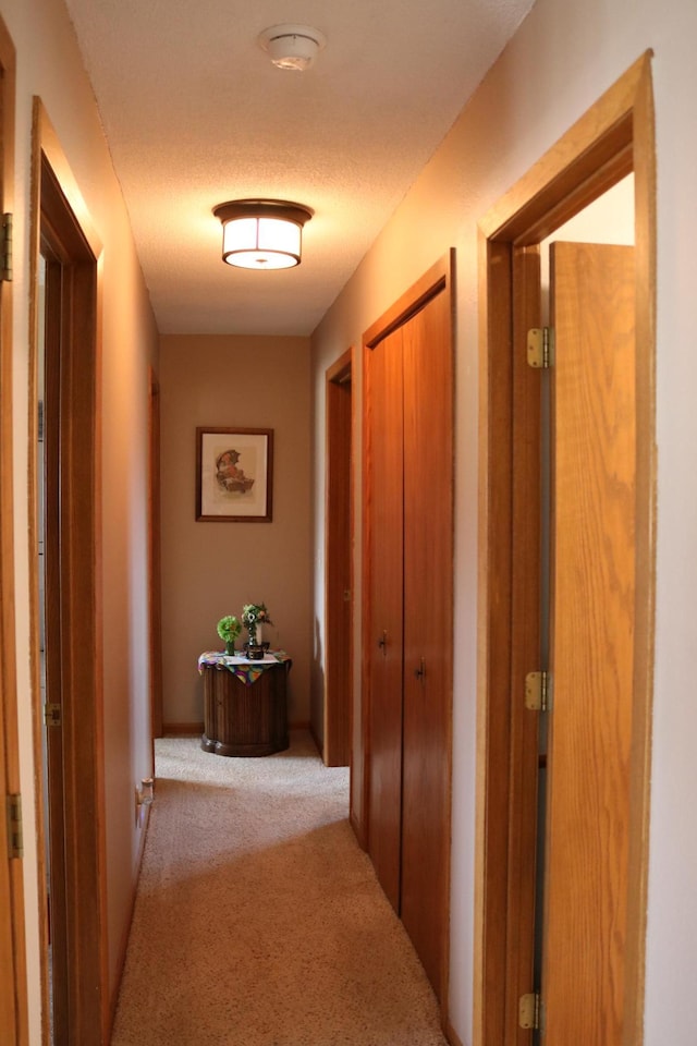 hall featuring carpet flooring