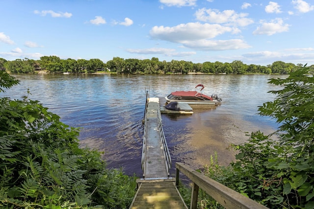 dock area with a water view