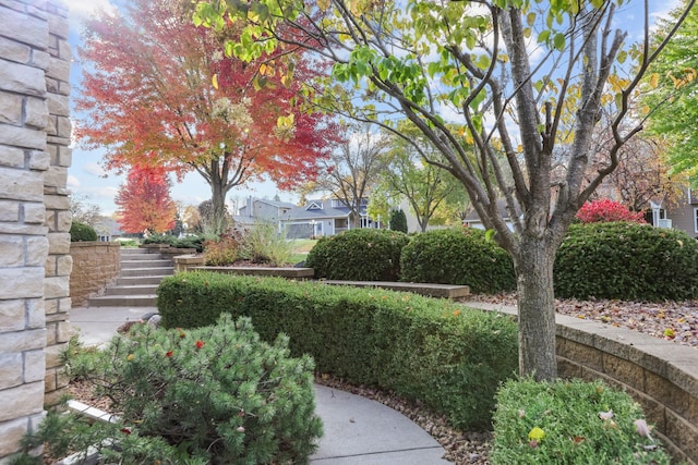 view of yard featuring stairs
