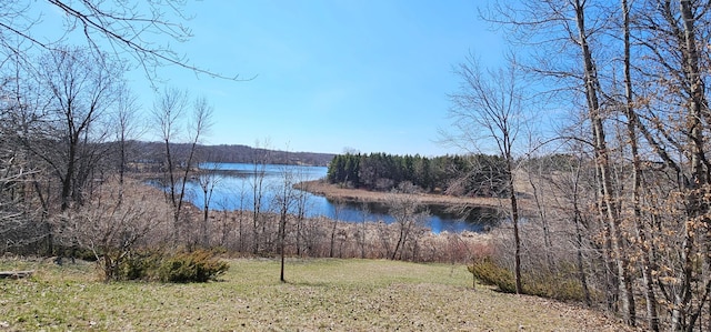 46174 County Highway 35, Vergas, MN 56587 - water view with a forest